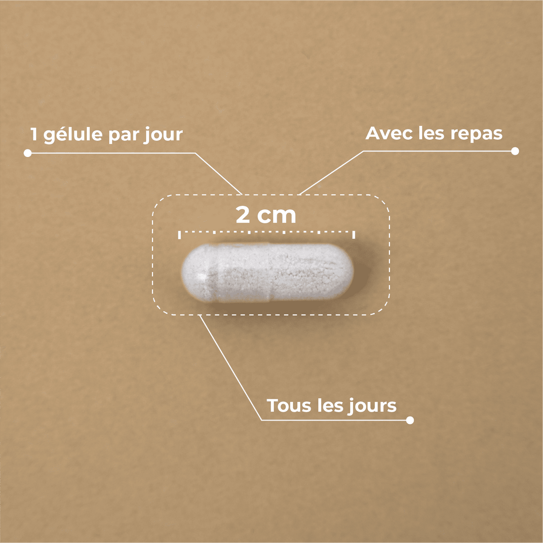 Booster capillaire et d'ongles