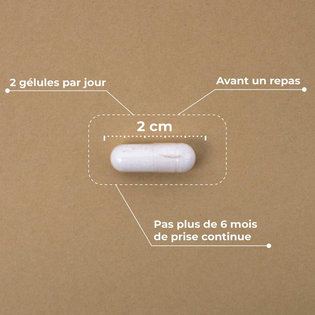 Pre-Post Probiotique