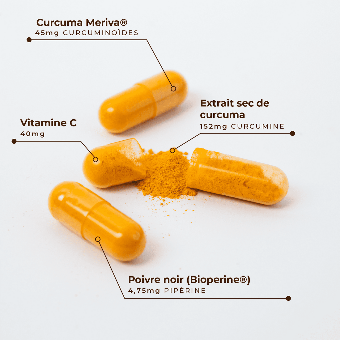 Curcuma + Poivre noir