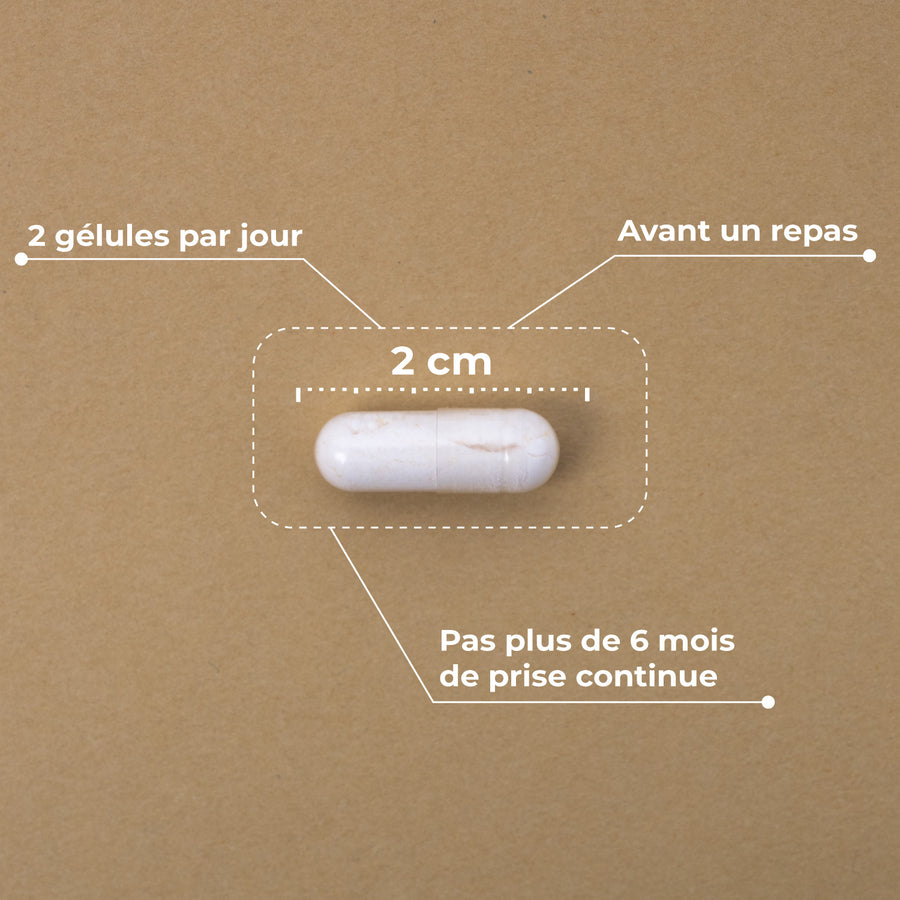 Pre-Post Probiotique