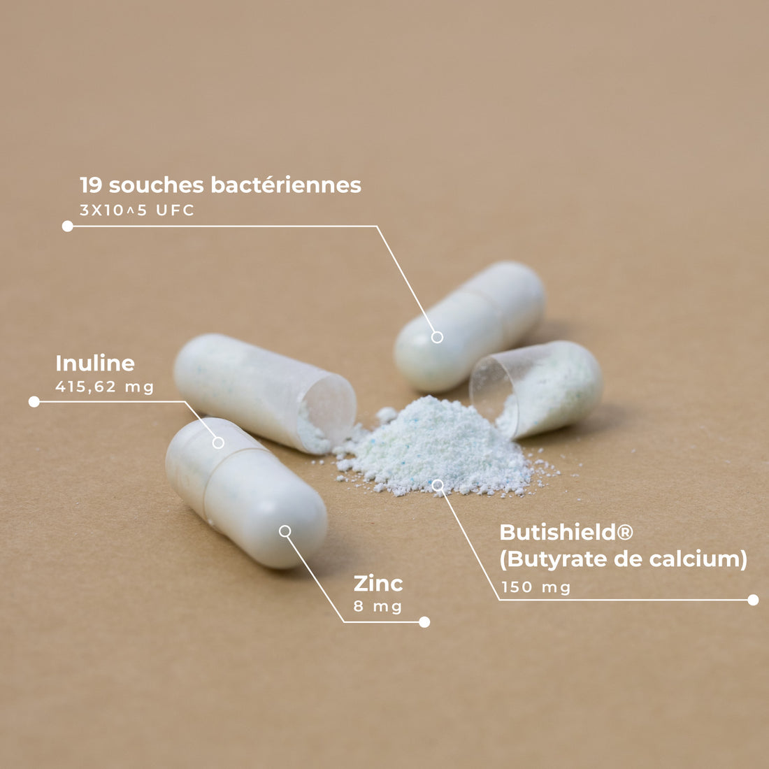 Pre-Post Probiotique